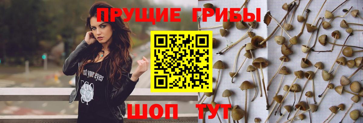 Галлюциногенные грибы Psilocybe  цена   Псилоцибиновые грибы мухоморы  Надым  Вход с VPN 